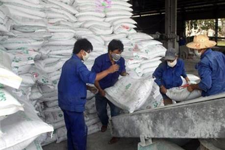 Supe phốt phát và hóa chất Lâm Thao cung ứng gần 20 triệu tấn phân bón cho đồng ruộng