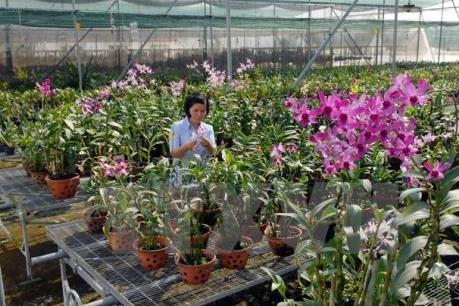 Đẩy mạnh ứng dụng khoa học công nghệ vào sản xuất nông nghiệp -  Bài 2