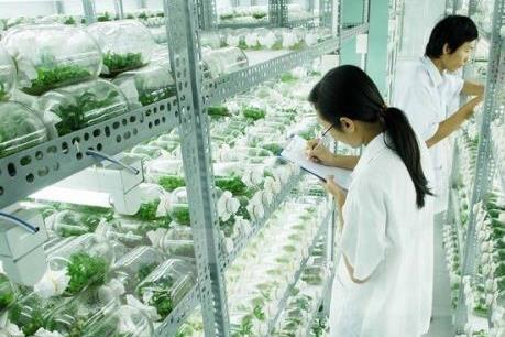 Bình Phước muốn phát triển nông nghiệp công nghệ cao từ kinh nghiệm Nhật Bản