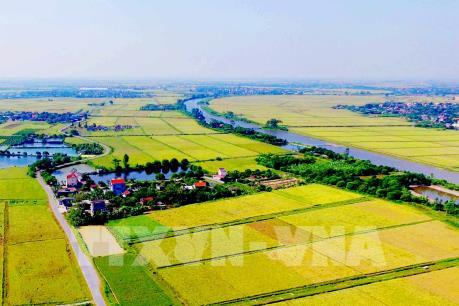 Ứng phó bão số 10: Công điện chỉ đạo sản xuất nông nghiệp