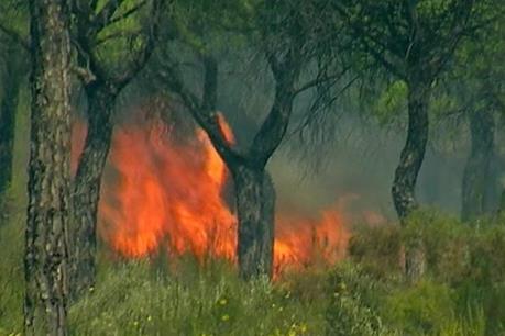 Cháy lớn tại khu bảo tồn tự nhiên của Tây Ban Nha