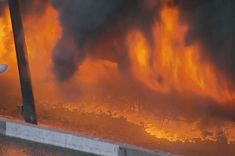 Tiêu hủy số ma túy trị giá 1 tỷ USD