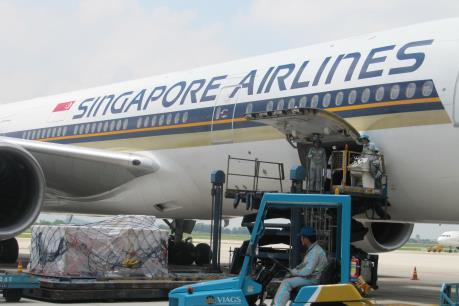 Dịch vụ hàng hóa, dịch vụ mặt đất của Vietnam Airlines nhận giải thưởng quốc tế