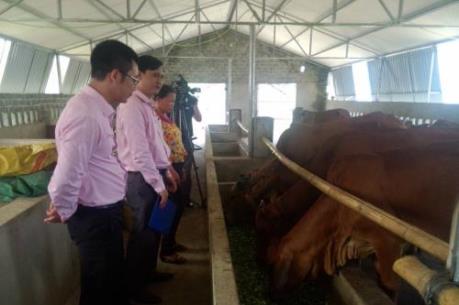 Ngân hàng Chính sách Xã hội:  Nợ quá hạn và nợ khoanh chiếm 0,82% tổng dư nợ