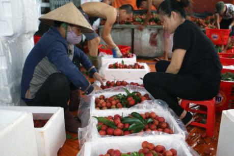 Hỗ trợ mở cửa thị trường Australia cho các sản phẩm nông thủy sản của Việt Nam  ​