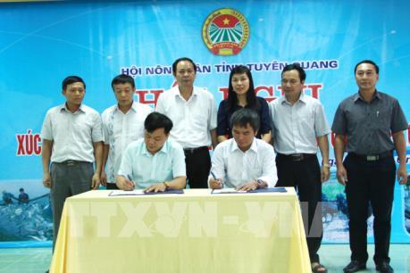 Hợp tác sản xuất nông nghiệp công nghệ cao theo chuỗi giá trị