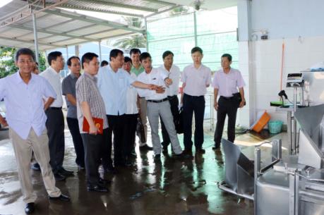 Bộ NN & PTNT khảo sát vùng nuôi bò sữa tại Sóc Trăng