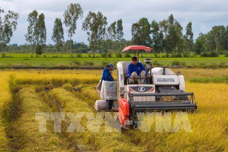 Hậu Giang kêu gọi đầu tư 7 dự án với tổng vốn gần 300 triệu USD