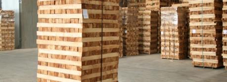 Malaysia cấm xuất khẩu gỗ cao su từ tháng Bảy