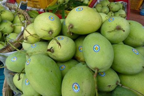 Kim ngạch xuất khẩu rau quả tăng kỷ lục