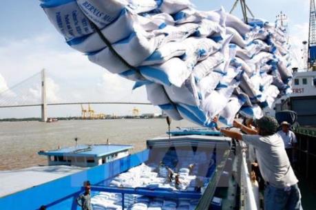 Xuất khẩu gạo tăng nhờ bán giá thấp?