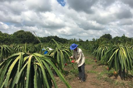 Điều chỉnh quy hoạch xây dựng vùng Đồng bằng sông Cửu Long