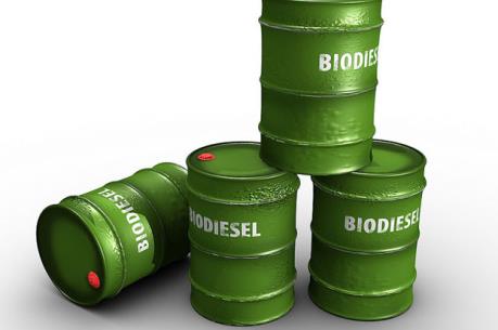 Mexico sản xuất được dầu diesel sinh học rẻ nhất thế giới từ phế thải