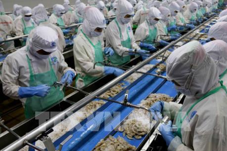 An toàn thực phẩm:  Yêu cầu "sống còn" với doanh nghiệp chế biến