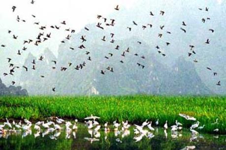 Đầu tư trở lại cho tài nguyên