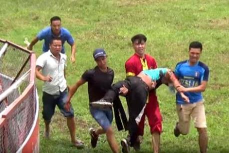 Vụ chủ trâu bị trâu chọi húc chết: Thử giải mã nguyên nhân sự cố