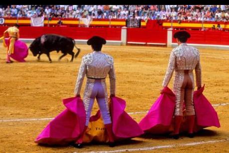 Tại sao nhiều người không còn háo hức khi đi xem đấu bò?