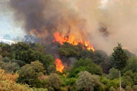 Thời tiết cực đoan khiến hàng chục người thiệt mạng