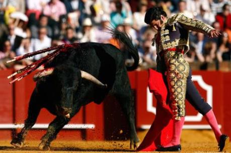 Lễ hội đấu bò đẫm máu gây chia rẽ Tây Ban Nha