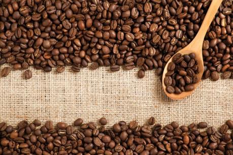 Dự báo giá cà phê tuần từ 3/7 - 7/7