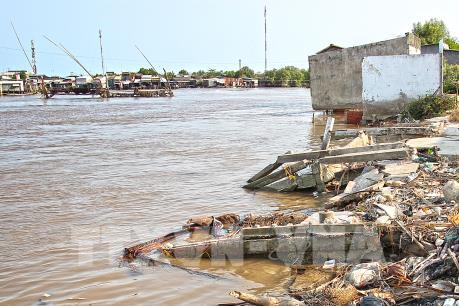 Kết luận ban đầu về nguyên nhân cá chết hàng loạt tại các sông ở huyện Đầm Dơi