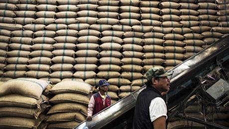 Bộ Thương mại Thái Lan lên phương án bình ổn giá gạo