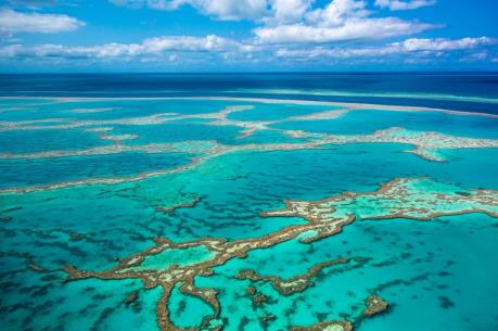 Khám phá hệ thống đá ngầm san hô của đảo quốc Cuba