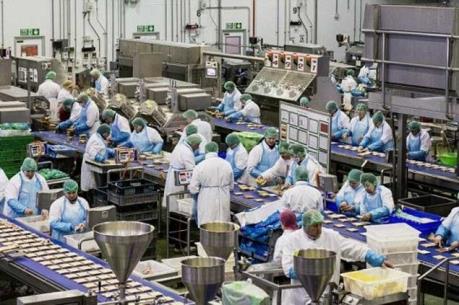 Luật Lao động nhập cư mới của Thái Lan ảnh hưởng nhiều hơn đến doanh nghiệp nào?