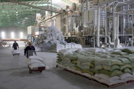 Thanh tra phát hiện nhiều sai phạm ở Vinafood 2