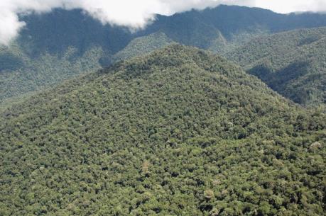 Máy bay rơi, 5 người mất tích