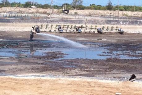 Hồi sinh vùng đất nhiễm mặn Lộc An