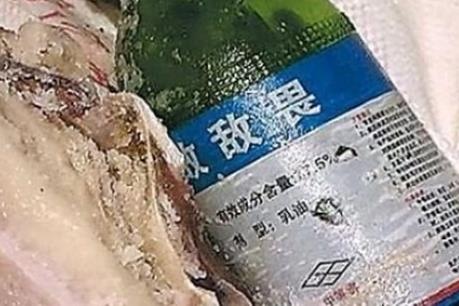 Thu giữ 122 tấn thuốc trừ sâu giả được sản xuất từ Trung Quốc