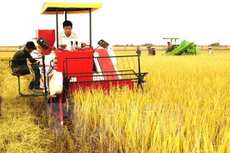 Thực hiện đồng bộ các giải pháp phát triển kinh tế - xã hội