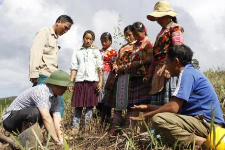 Hiệu quả của Dự án 600 Phó Chủ tịch xã tại Nam Trung bộ và Tây Nguyên