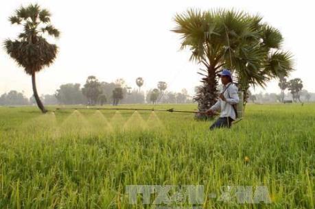 Chuyển đổi nông nghiệp bền vững