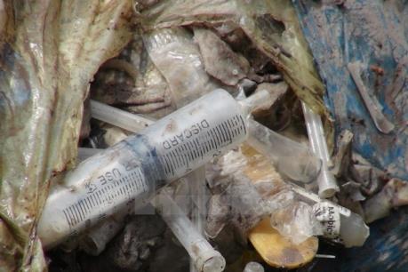 Đề nghị Cà Mau xem xét, điều chỉnh lại báo cáo kết luận về môi trường y tế