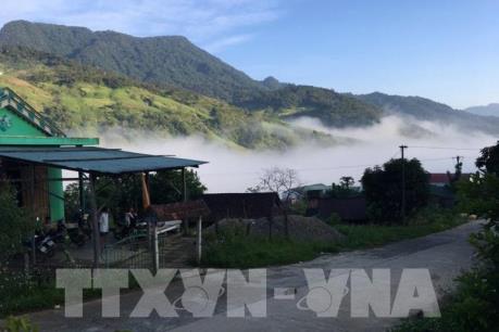 Ngọc Linh-Vẻ đẹp nơi đại ngàn hoang sơ 