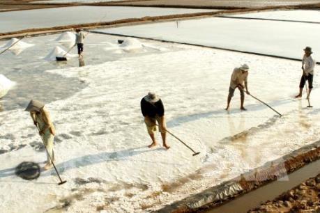Lượng muối tồn giảm gần một nửa so với cùng kỳ