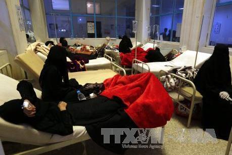 Hơn 300.000 người ở Yemen bị dịch tả 
