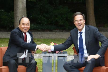 Thủ tướng Nguyễn Xuân Phúc hội đàm với Thủ tướng Hà Lan Mark Rutte