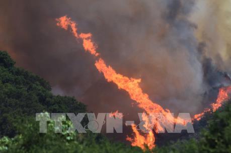 Cháy rừng tại Canada tiếp tục diễn biến phức tạp