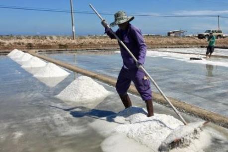 Đầu tư 31 tỷ đồng vốn ngân sách cho dự án muối Quán Thẻ - Ninh Thuận