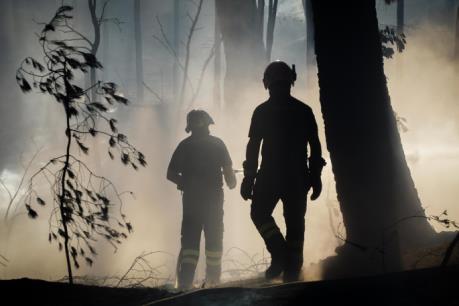 Cháy rừng hoành hành dữ dội ở miền Nam Italy