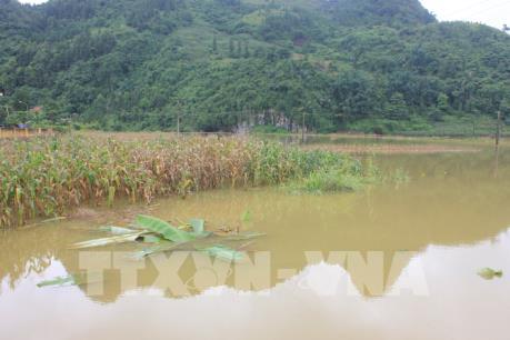 Cập nhật tình hình mưa lũ tại khu vực miền núi phía Bắc