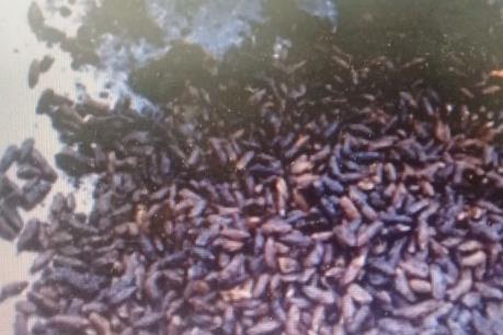 Đồng Tháp bác bỏ thông tin gạo giả