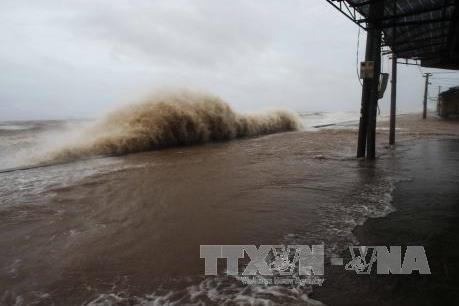 Tin mới: Áp thấp nhiệt đới mạnh lên thành cơn bão số 3