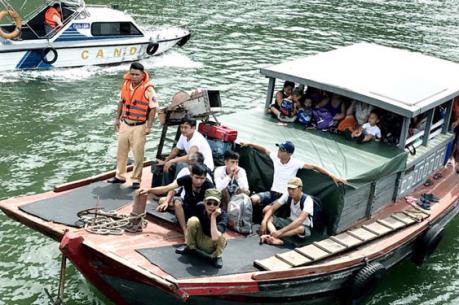 Bắt giữ nhiều tàu chở khách tham quan vịnh Hạ Long trái phép