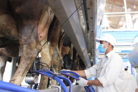 Vinamilk đặt mục tiêu doanh thu 80.000 tỷ đồng