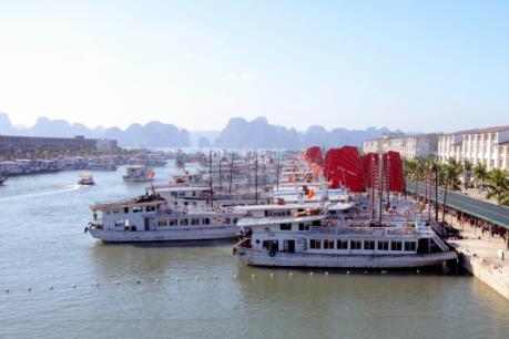 Ứng phó với bão số 2: Quảng Ninh ngừng cấp phép đối với tàu du lịch từ chiều 16/7