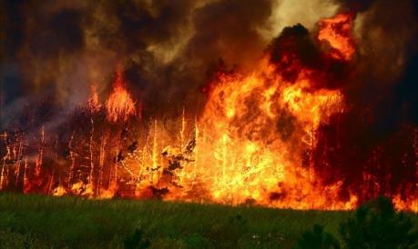 Mông Cổ: Cháy rừng đang lan rộng